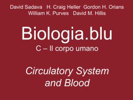 Circulatory System and Blood - Zanichelli online per la scuola