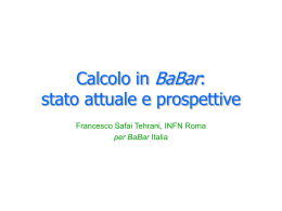Calcolo in BaBar: stato attuale e prospettive - INFN
