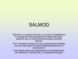 SALMOD