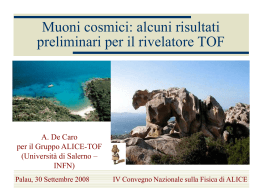 Muoni cosmici: alcuni risultati preliminari per il