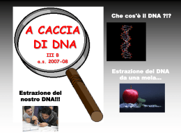 Estrazione del DNA da una mela... Estrazione del