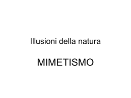 Illusioni della natura il mimetismo