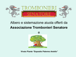 scarica la targa dei Trombionieri Senatore