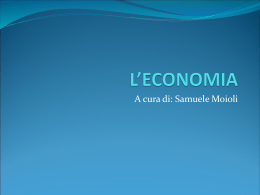 L`economia di Samuele Moioli