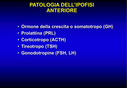 Ipofisi anteriore_acromegalia Prof. Pacini - 14 maggio 08