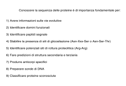 L` algoritmo di Gray e sue modifiche (lucidi)