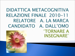 didattica metacognitiva relazione finale 2010-11