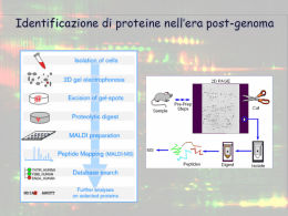proteomica3 - Uninsubria