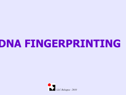 DNA_Fingerprinting