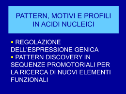 lezione_patterndiscovery_2003