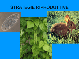 Strategie Riproduttive