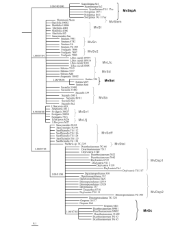 Diapositive 1 - BioMed Central