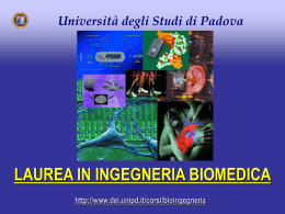 Ingegneria BIOMEDICA www.ing.unipd.it - DEI