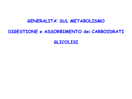 5_gener_metab-_glicolisi