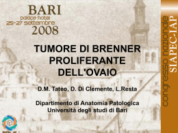076 - D.M.Tateo, D.Di Clemente, et al.