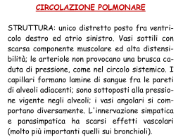 LEZIONE CEVESE 7 (vnd.ms-powerpoint, it, 1253 KB, 10/22/15)