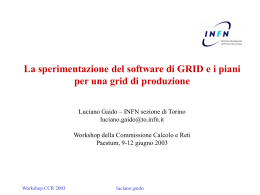 INFN-GRID: la sperimentazione del software di Grid e piani per una