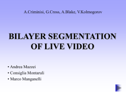Bilayer Segmentation of Live Video