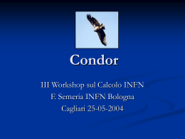 Report su Condor