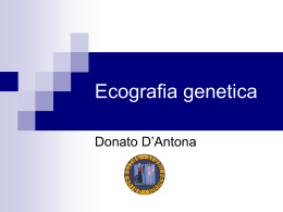 Ecografia genetica