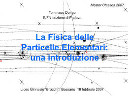 La Fisica delle Particelle Elementari - INFN