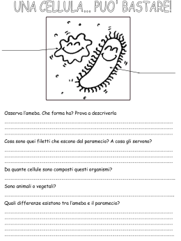 Gli organismi unicellulari