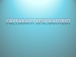 Lez 5 Apparato Respiratorio