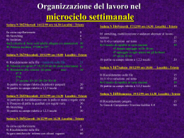 Organizzazione del lavoro nel microciclo settimanale