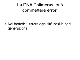 La DNA Polimerasi pu&ograve; commettere errori