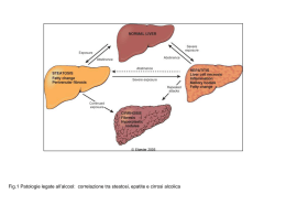 Diapositiva 1