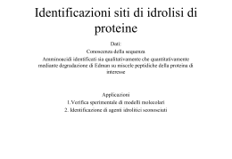 L` algoritmo per la cinetica di idrolisi (lucidi)