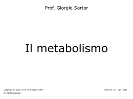 Biochimica Metabolismo - Home page @charlie.ambra.unibo.it