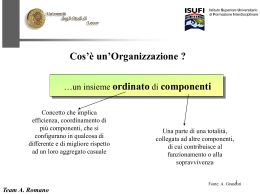 slides_su_organizzazione_.2