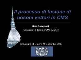 VBF process at CMS - INFN