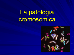 approfondimento patologia cromosomica 1