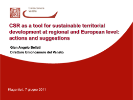 CSR as a tool for sustainable territorial - ENSA