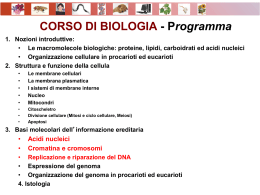 Biologia6_CromosomiReplicazioneRiparazione