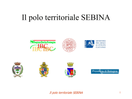 Il polo territoriale SEBINA