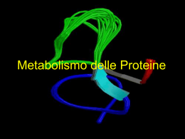 14. metabolismo proteine