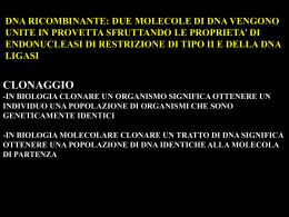 Lezione 4