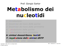 Metabolismo dei nucleotidi - Home page @charlie.ambra.unibo.it