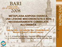 066 - L.Ventura, A.Dal Mas, et al.