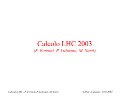 Calcolo LHC 2003 (F. Ferroni, P. Lubrano, M. Sozzi)