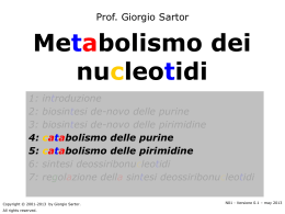 Metabolismo dei nucleotidi - Home page @charlie.ambra.unibo.it