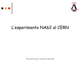 L`esperimento NA62 al CERN