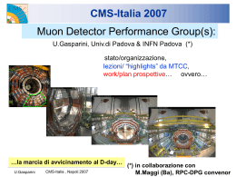 CMS-Italia 2007