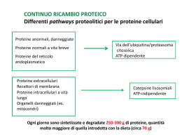 lezione-SNU-10 proteine
