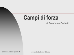 Campi di forza - Universit&agrave; degli Studi di Torino