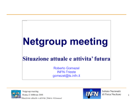 Netgroup meeting Situazione attuale e attivita` futura