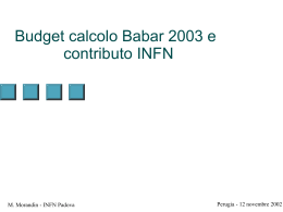 Budget calcolo Babar 2003 e contributo INFN - INFN
